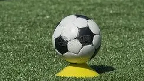 球友会 产品 120233 8ns