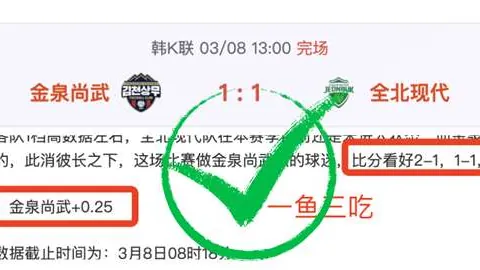 德国总理兼基民盟主席选举前夕电视辩论收官对决